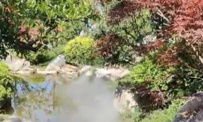 寶雞市 太白山唐鎮景區造景